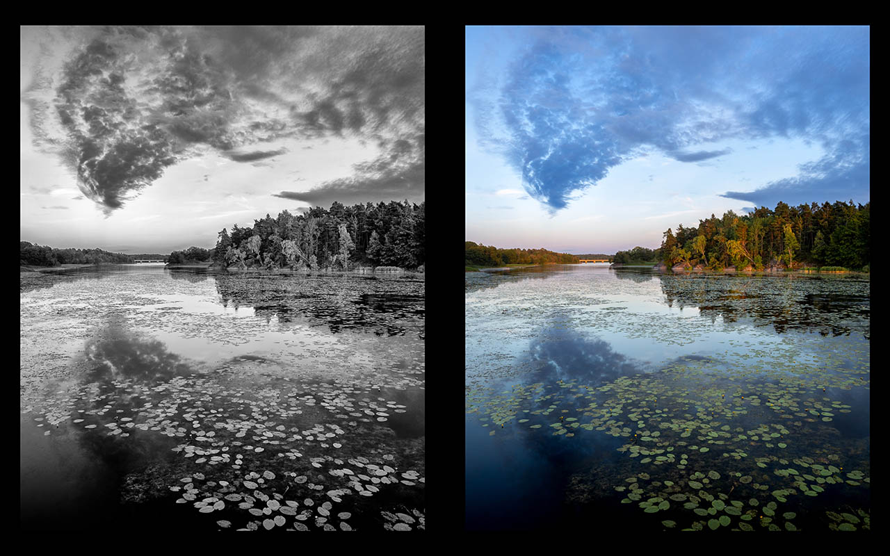 How likely are you to watch a film if it is…? Art House Film Club